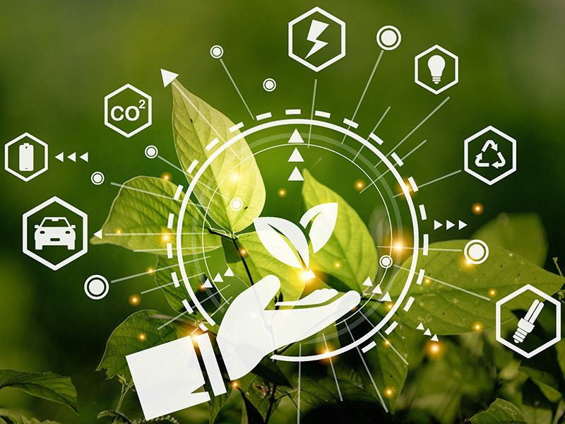 Sustainable development and business based on renewable energy.