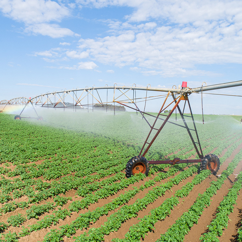 Agricultural irrigation system on sunny summer day