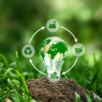 An illustration of a light bulb merged with a green world map, representing the circular economy concept with recycling, reuse, and sustainability icons
