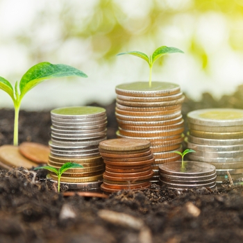 Growth of the economic concept